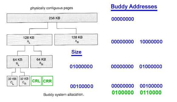 Buddy Address System